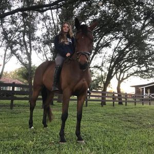 Meet your Posher, Alexa